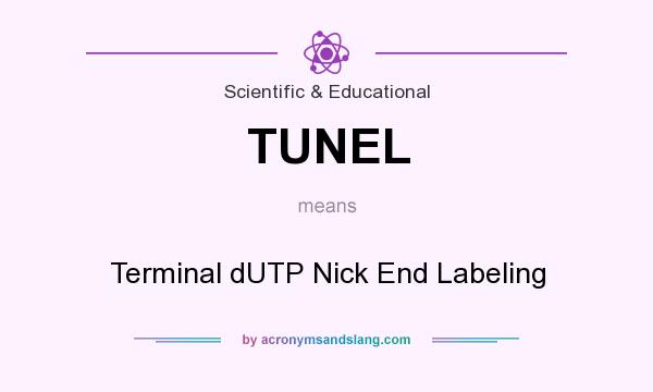 What does TUNEL mean? It stands for Terminal dUTP Nick End Labeling