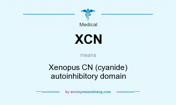 What does XCN mean? It stands for Xenopus CN (cyanide) autoinhibitory domain