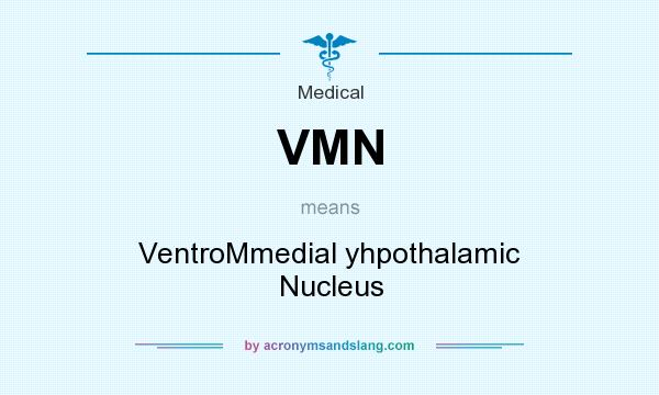 What does VMN mean? It stands for VentroMmedial yhpothalamic Nucleus