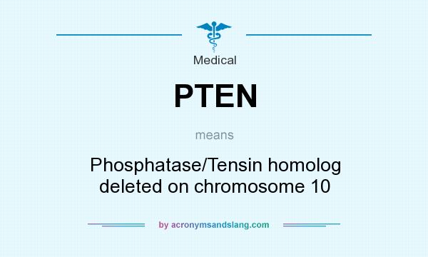 What does PTEN mean? It stands for Phosphatase/Tensin homolog deleted on chromosome 10