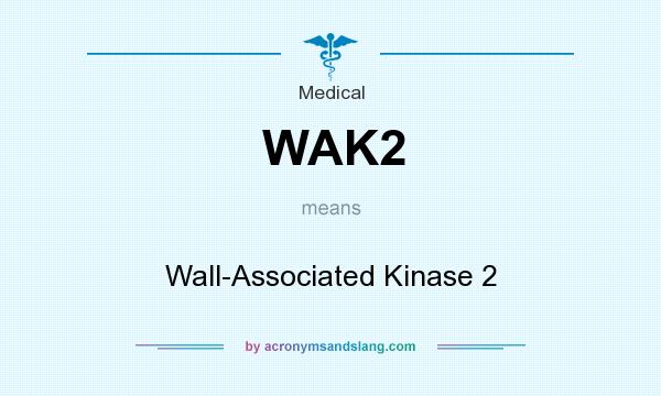 What does WAK2 mean? It stands for Wall-Associated Kinase 2
