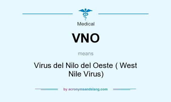 What does VNO mean? It stands for Virus del Nilo del Oeste ( West Nile Virus)