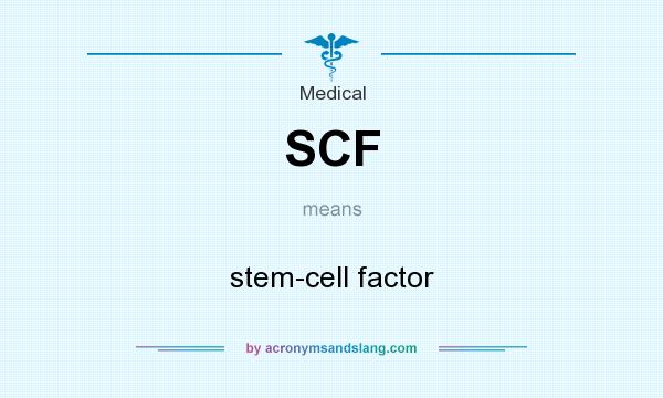 What does SCF mean? It stands for stem-cell factor