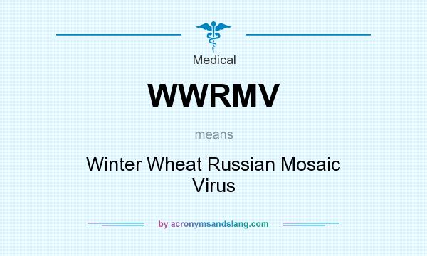 What does WWRMV mean? It stands for Winter Wheat Russian Mosaic Virus