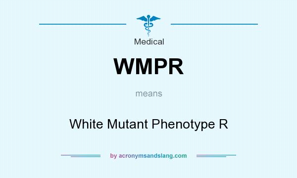 What does WMPR mean? It stands for White Mutant Phenotype R