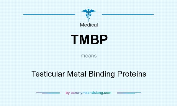 What does TMBP mean? It stands for Testicular Metal Binding Proteins