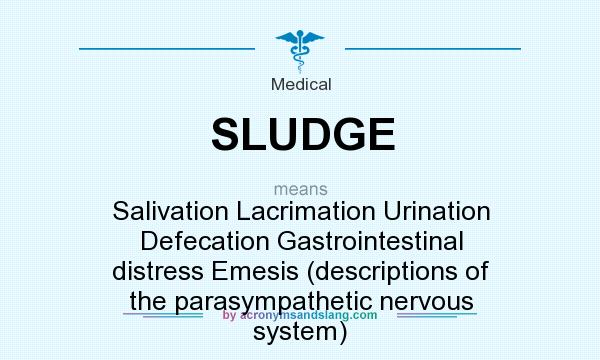 What does SLUDGE mean? It stands for Salivation Lacrimation Urination Defecation Gastrointestinal distress Emesis (descriptions of the parasympathetic nervous system)