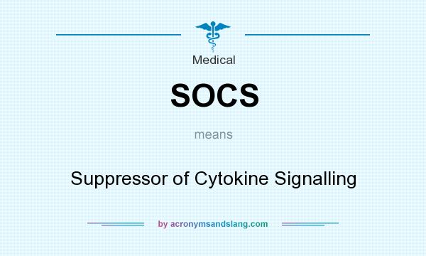 What does SOCS mean? It stands for Suppressor of Cytokine Signalling