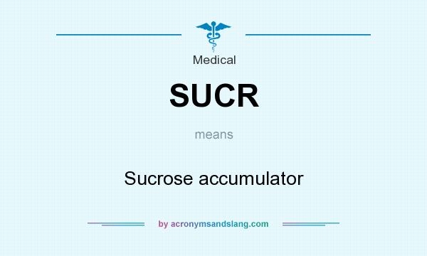 What does SUCR mean? It stands for Sucrose accumulator