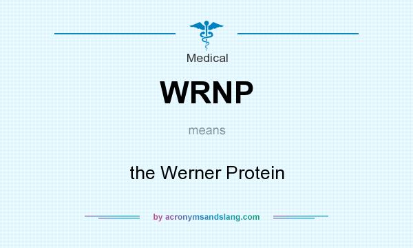 What does WRNP mean? It stands for the Werner Protein