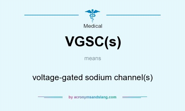 What does VGSC(s) mean? It stands for voltage-gated sodium channel(s)
