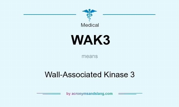 What does WAK3 mean? It stands for Wall-Associated Kinase 3