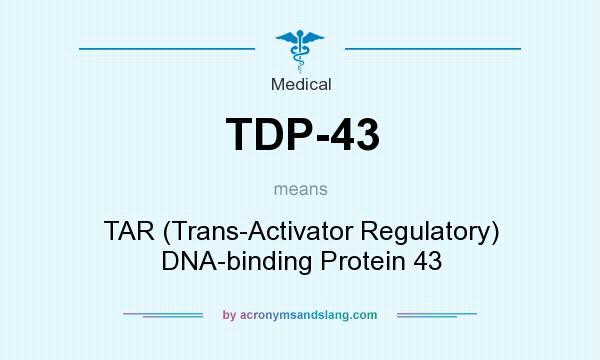 What does TDP-43 mean? It stands for TAR (Trans-Activator Regulatory) DNA-binding Protein 43