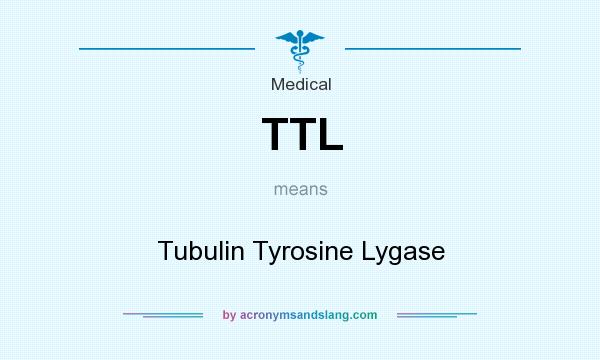 What does TTL mean? It stands for Tubulin Tyrosine Lygase