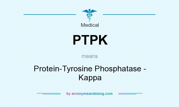 What does PTPK mean? It stands for Protein-Tyrosine Phosphatase - Kappa
