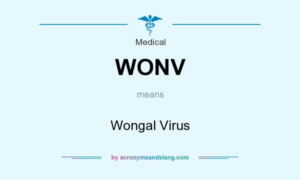 What does WONV mean? It stands for Wongal Virus