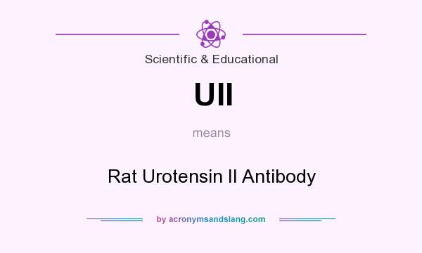What does UII mean? It stands for Rat Urotensin II Antibody