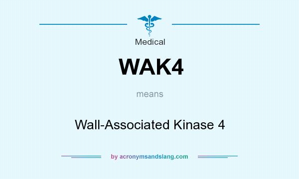 What does WAK4 mean? It stands for Wall-Associated Kinase 4