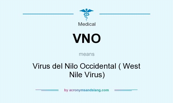 What does VNO mean? It stands for Virus del Nilo Occidental ( West Nile Virus)