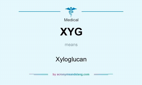What does XYG mean? It stands for Xyloglucan