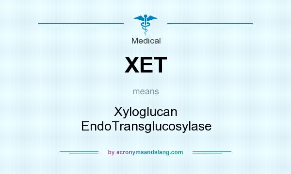 What does XET mean? It stands for Xyloglucan EndoTransglucosylase