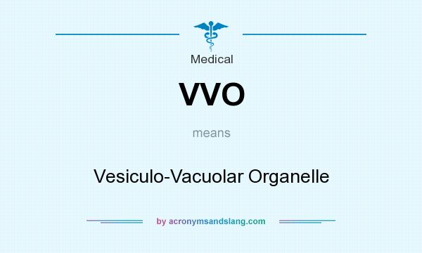 What does VVO mean? It stands for Vesiculo-Vacuolar Organelle