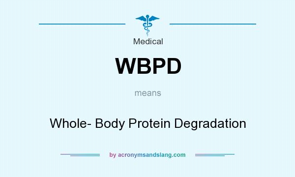 What does WBPD mean? It stands for Whole- Body Protein Degradation