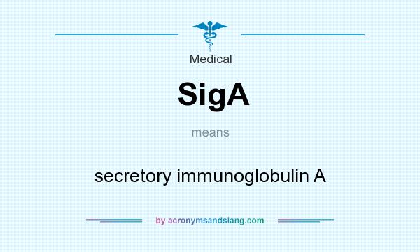 What does SigA mean? It stands for secretory immunoglobulin A