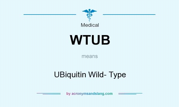 What does WTUB mean? It stands for UBiquitin Wild- Type