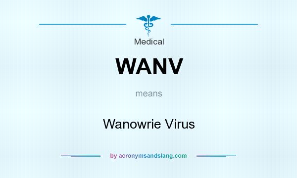 What does WANV mean? It stands for Wanowrie Virus