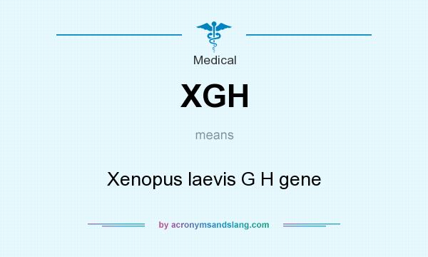 What does XGH mean? It stands for Xenopus laevis G H gene