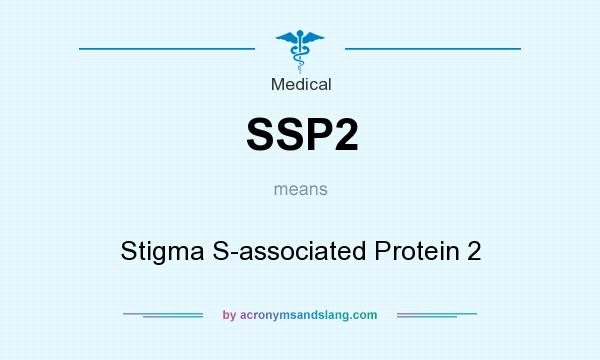 What does SSP2 mean? It stands for Stigma S-associated Protein 2
