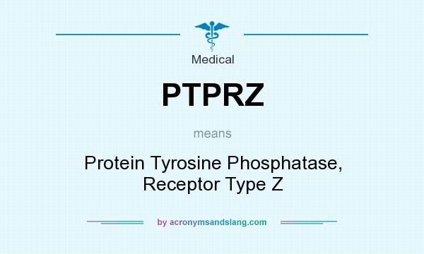 What does PTPRZ mean? It stands for Protein Tyrosine Phosphatase, Receptor Type Z