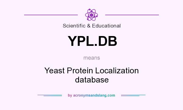 What does YPL.DB mean? It stands for Yeast Protein Localization database