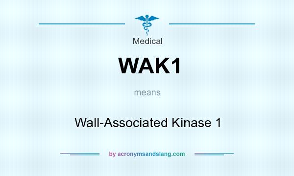 What does WAK1 mean? It stands for Wall-Associated Kinase 1