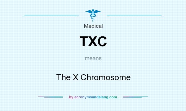 What does TXC mean? It stands for The X Chromosome