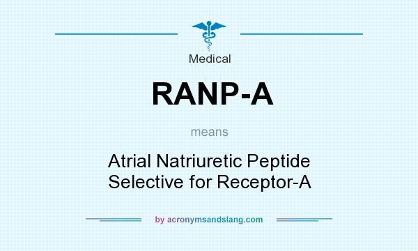 What does RANP-A mean? It stands for Atrial Natriuretic Peptide Selective for Receptor-A