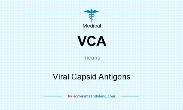What does VCA mean? It stands for Viral Capsid Antigens