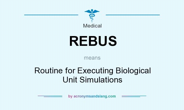 What does REBUS mean? It stands for Routine for Executing Biological Unit Simulations