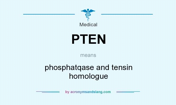 What does PTEN mean? It stands for phosphatqase and tensin homologue