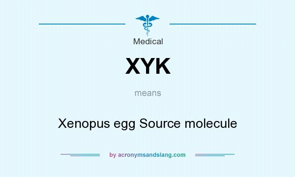 What does XYK mean? It stands for Xenopus egg Source molecule