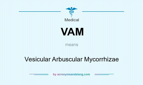 What does VAM mean? It stands for Vesicular Arbuscular Mycorrhizae