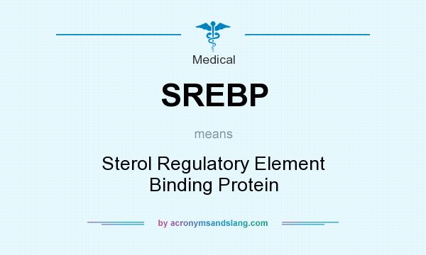 What does SREBP mean? It stands for Sterol Regulatory Element Binding Protein