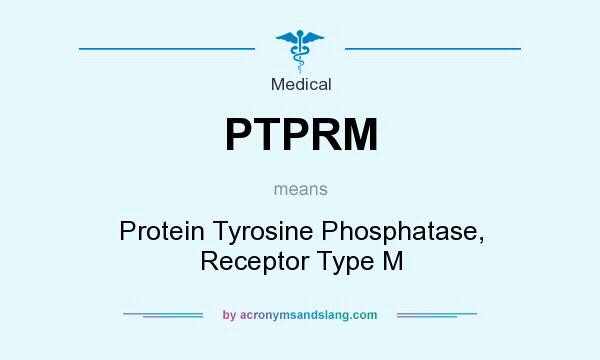 What does PTPRM mean? It stands for Protein Tyrosine Phosphatase, Receptor Type M