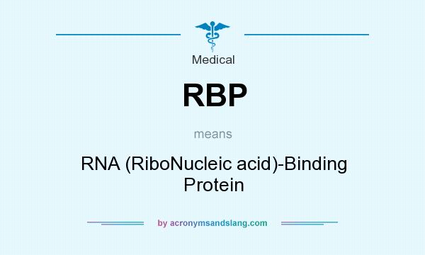 What does RBP mean? It stands for RNA (RiboNucleic acid)-Binding Protein
