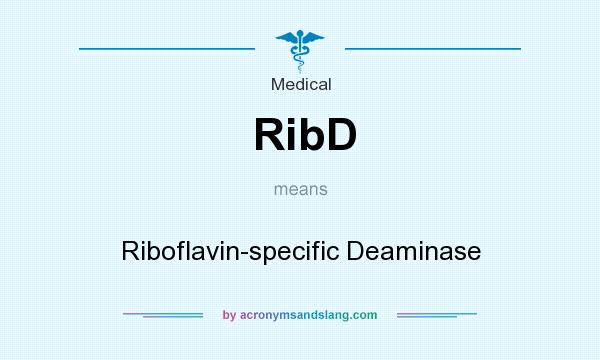 What does RibD mean? It stands for Riboflavin-specific Deaminase