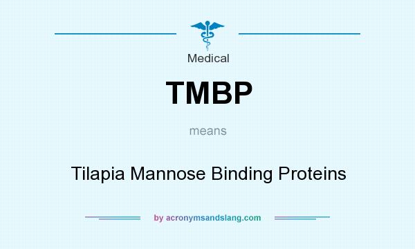 What does TMBP mean? It stands for Tilapia Mannose Binding Proteins