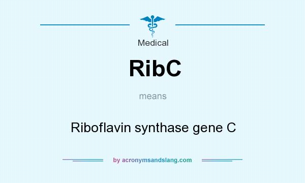 What does RibC mean? It stands for Riboflavin synthase gene C