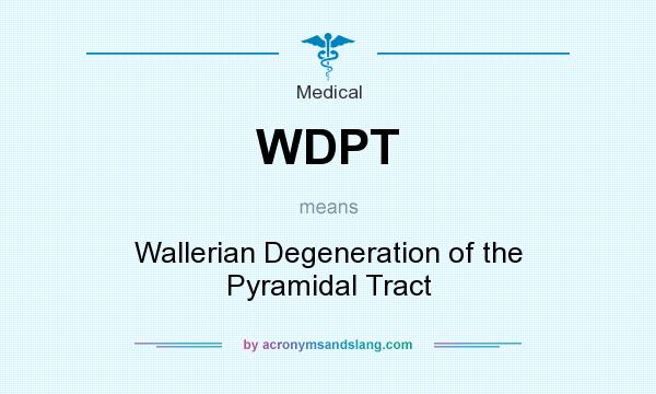 What does WDPT mean? It stands for Wallerian Degeneration of the Pyramidal Tract