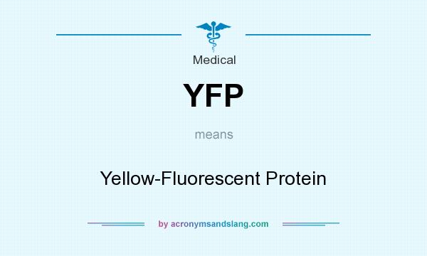 What does YFP mean? It stands for Yellow-Fluorescent Protein